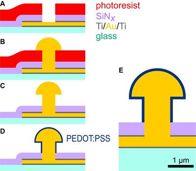 Low-Impedance 3D PEDOT:PSS Ultramicroelectrodes